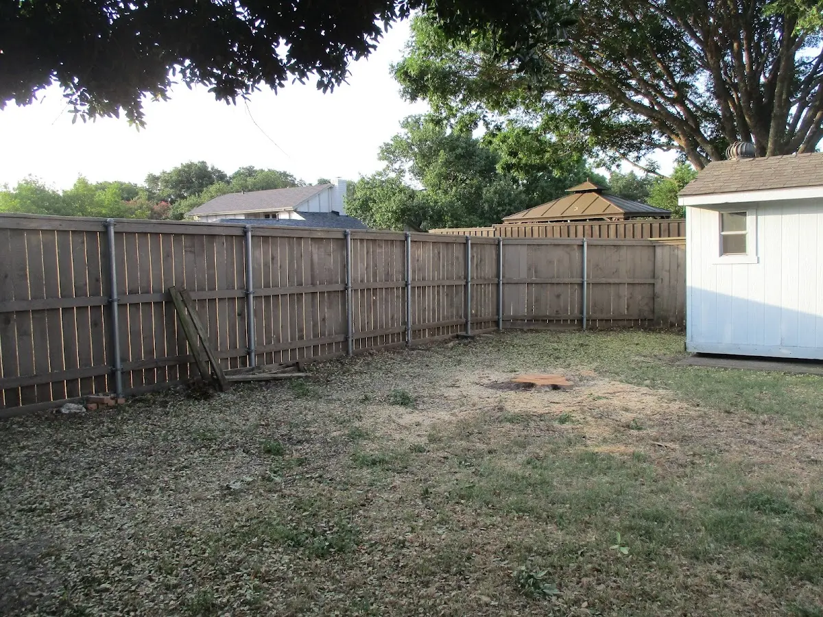 Cleared yard after professional tree removal in Como